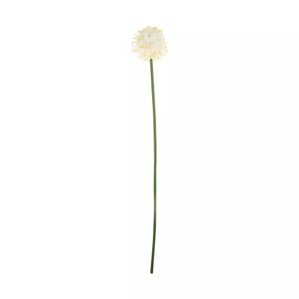pop-37472302-1